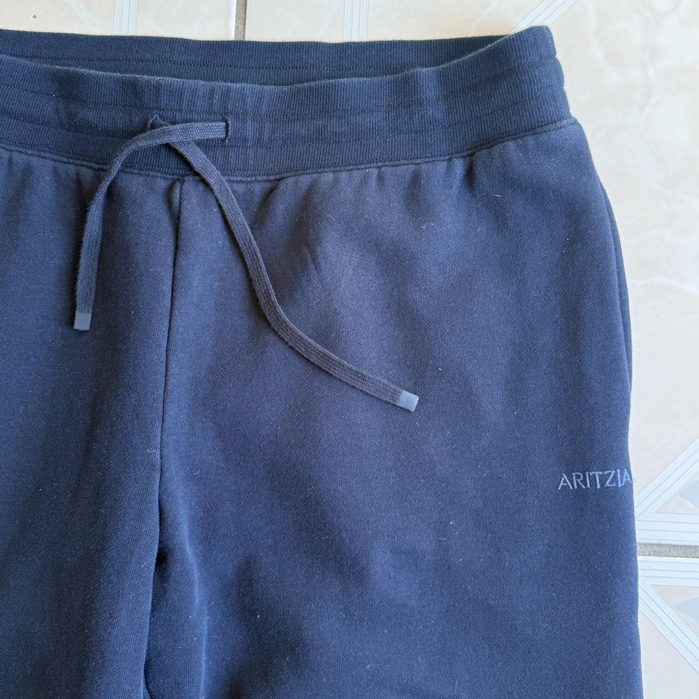 Aritzia Cozy Sweatfleece Perfect Banded Sweatpant
